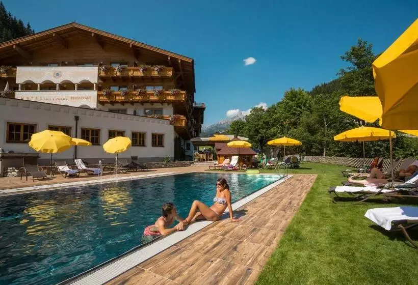 スタンダードルーム, Landhotel Alpenhof Filzmoos