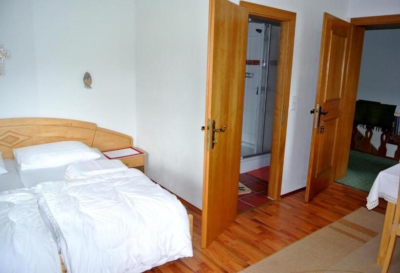 غرفة قياسية مطلة على الجبل, Treindlhof