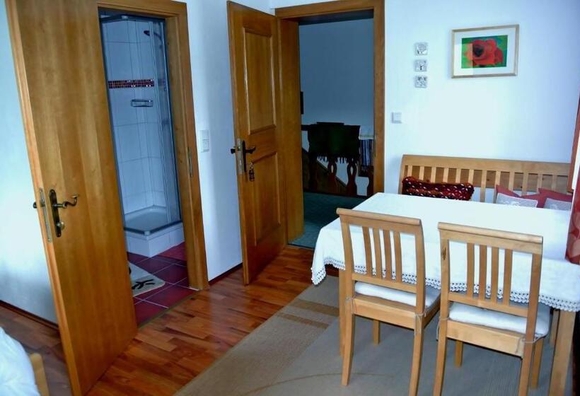 غرفة قياسية مطلة على الجبل, Treindlhof