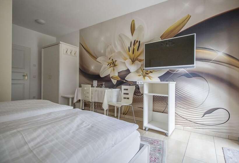 스탠다드 룸, Furstenberger Hof