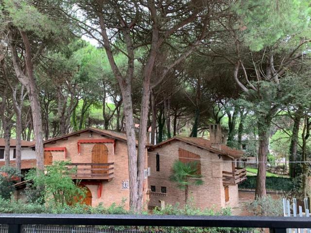 חדר סופריור, Logonovo