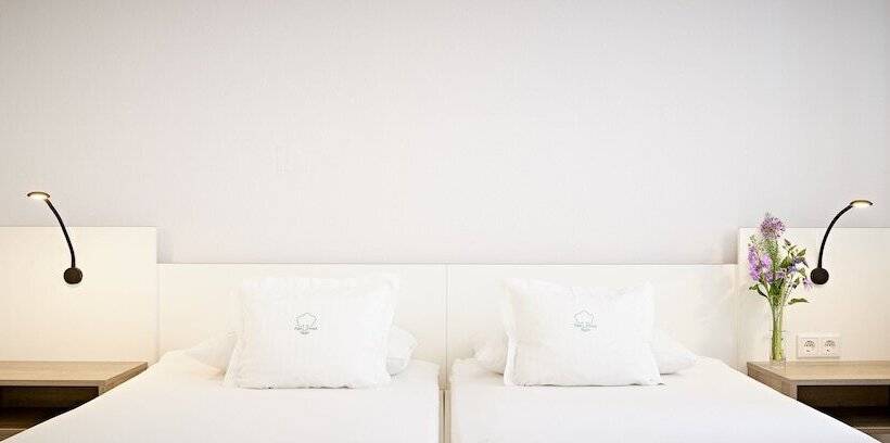 スタンダードルーム, Park