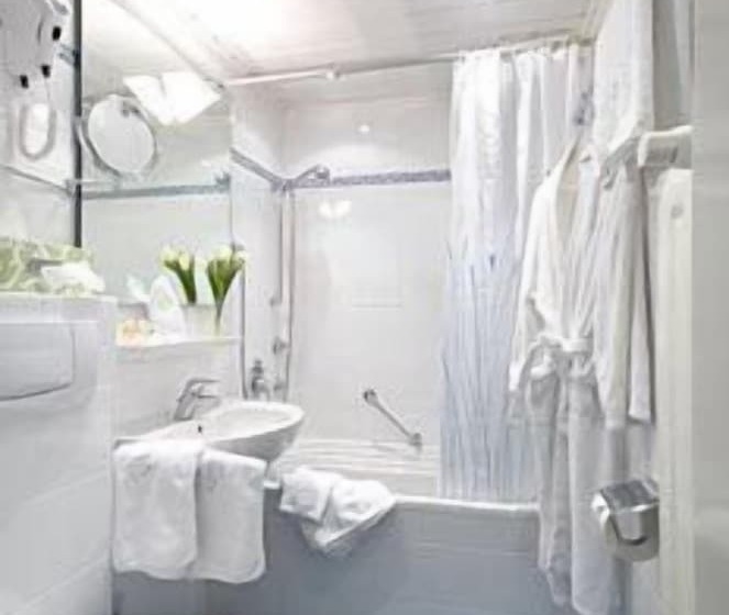 スタンダードルーム, Park