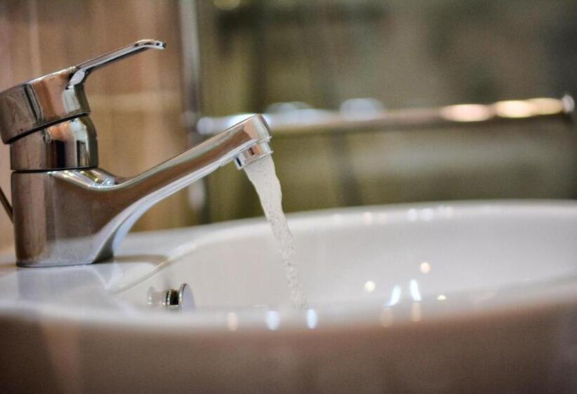 חדר אקונומי, Virgilio