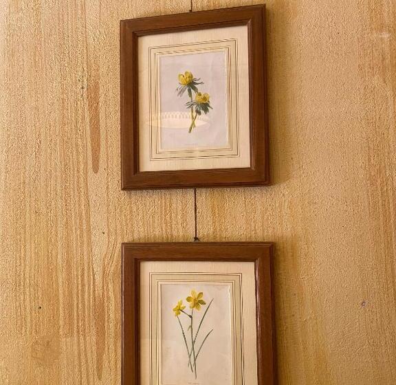 חדר סופריור, Villa Simplicitas