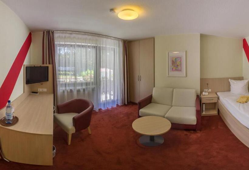 Номер Стандарт Индивидуальный, Pension Beck