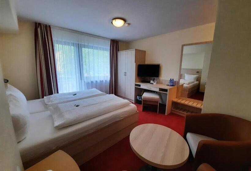 Номер Стандарт, Pension Beck