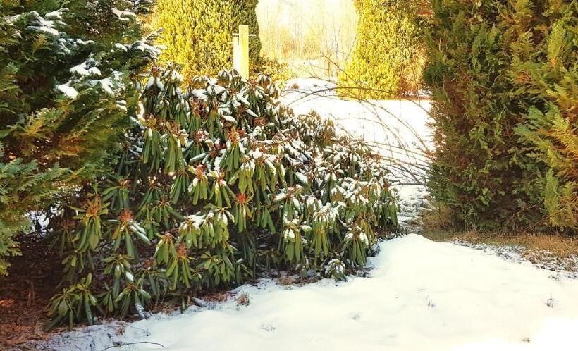 דירת חדר, Villa Helvetia