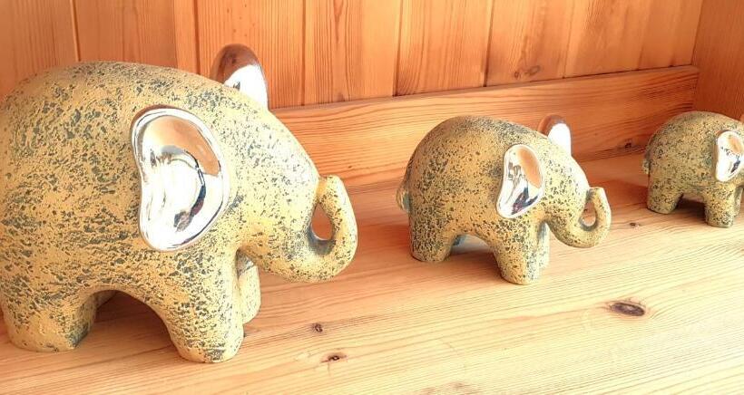 דירת חדר, Villa Helvetia