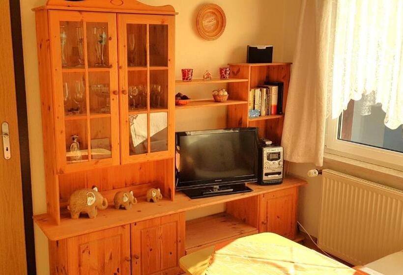 דירת חדר, Villa Helvetia