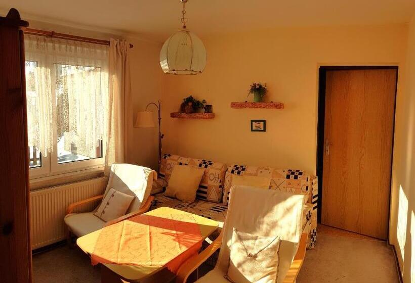 דירת חדר, Villa Helvetia