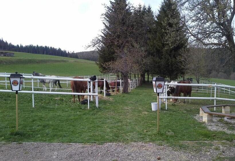 带1个卧室的公寓, Landhotel Bartlehof