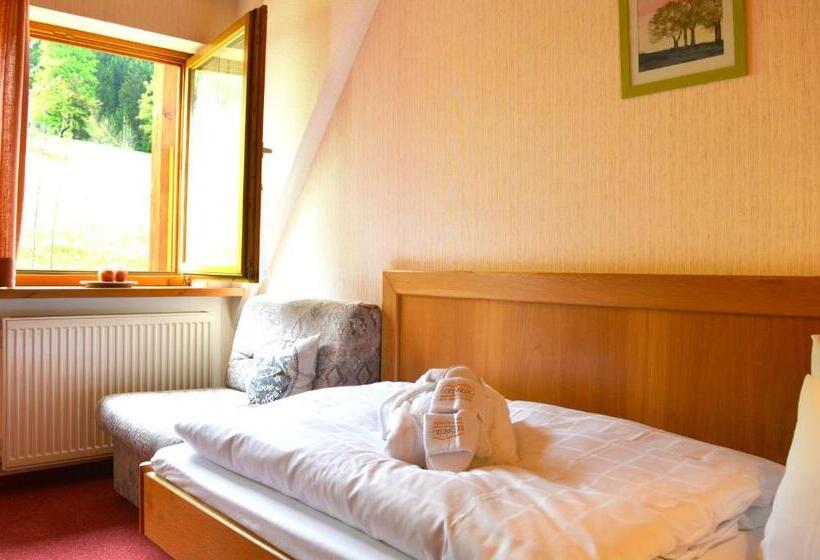 スタンダードシングルルーム, Berg  Und Aktivhotel Edelsberg