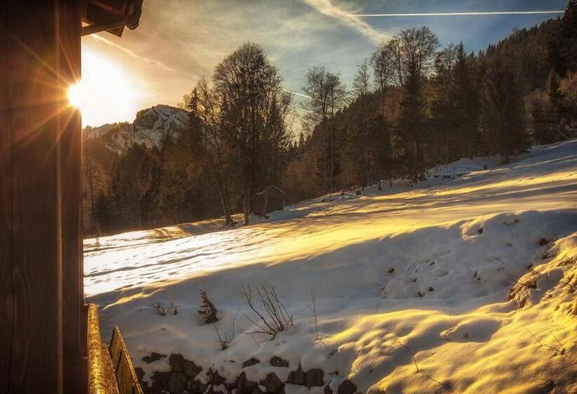 Номер Стандарт, Berg  Und Aktivhotel Edelsberg