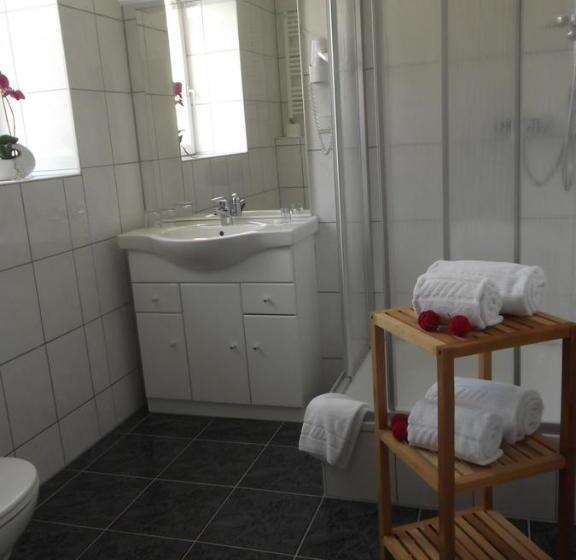 스탠다드 싱글 룸, Haus Sonnenschein