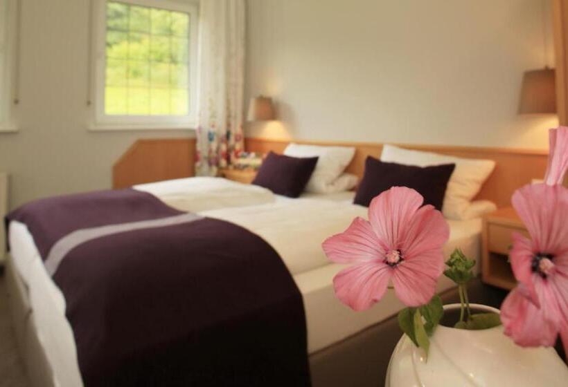 Номер Стандарт, Landidyll Landhaus Liesetal