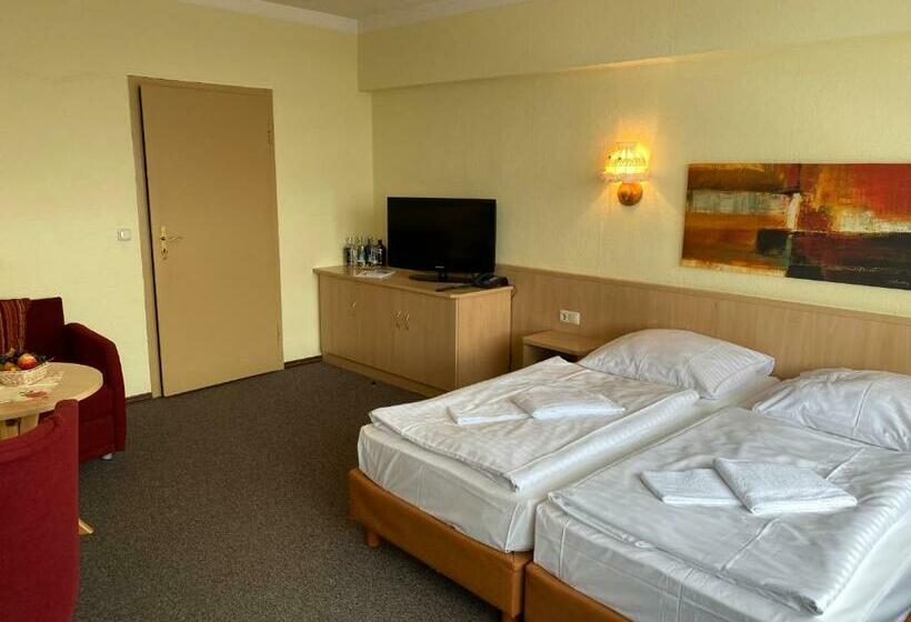 غرفة قياسية, Lugsteinhof