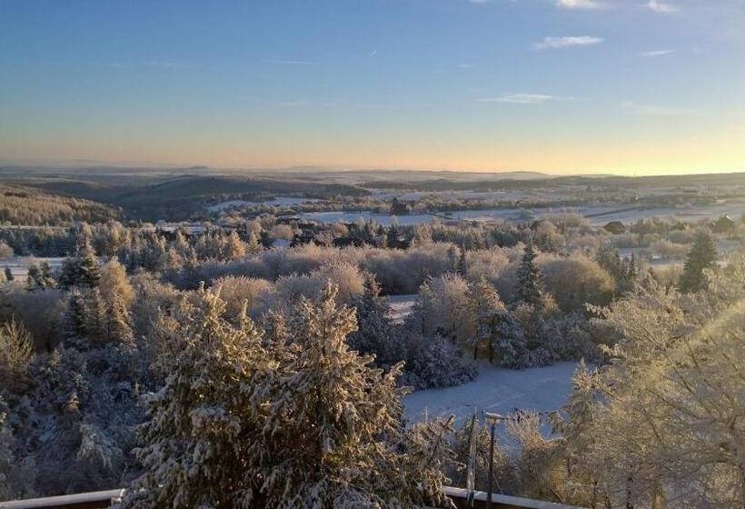 غرفة قياسية مطلة على الجبل, Lugsteinhof