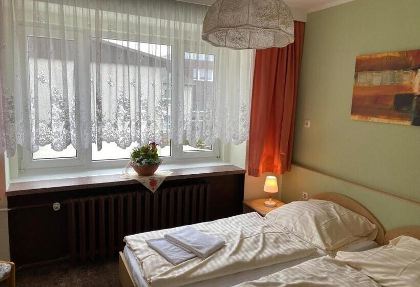 غرفة إقتصادية, Lugsteinhof