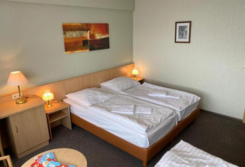 غرفة قياسية ثلاثية, Lugsteinhof