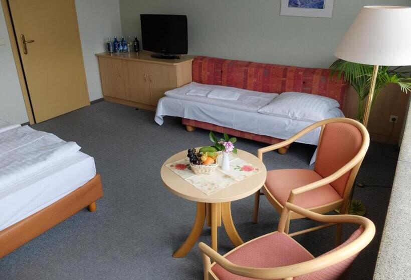 غرفة قياسية ثلاثية, Lugsteinhof