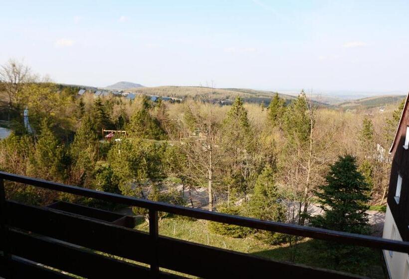 غرفة قياسية مزوَّدة بشُرفة, Lugsteinhof