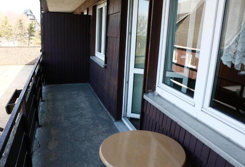 غرفة قياسية مزوَّدة بشُرفة, Lugsteinhof