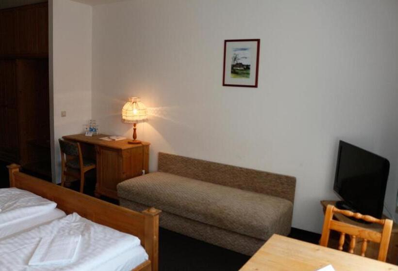 غرفة قياسية, Lugsteinhof