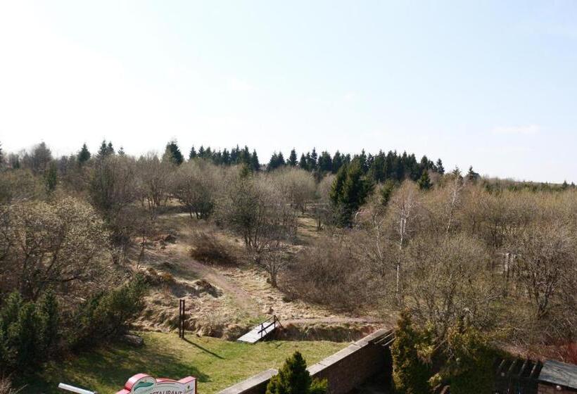 شقة غرفة واحدة, Lugsteinhof