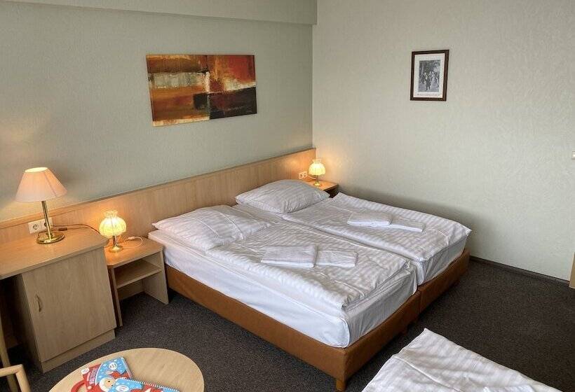 غرفة قياسية رباعية, Lugsteinhof