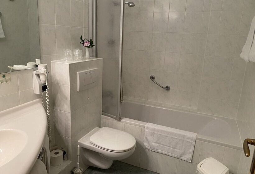 شقة غرفة واحدة, Lugsteinhof