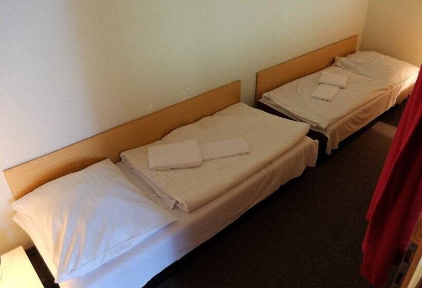 شقة غرفة واحدة, Lugsteinhof