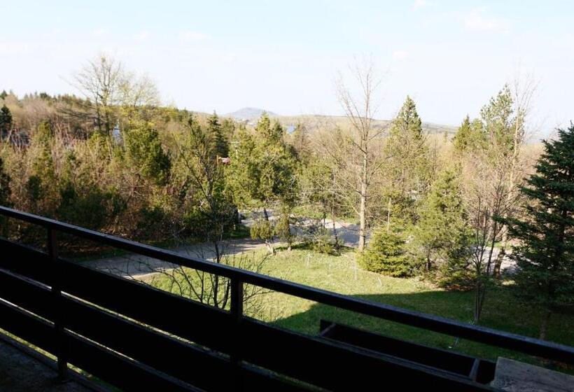 شقة غرفة واحدة, Lugsteinhof