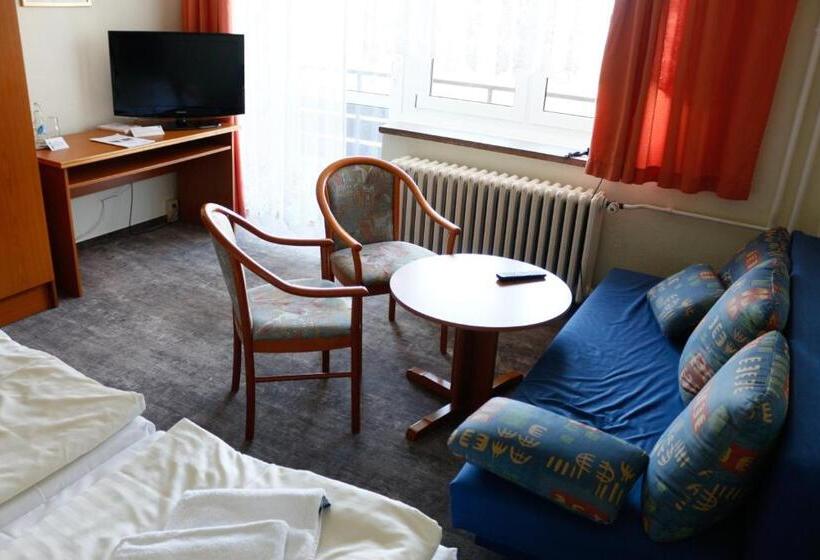 شقة غرفة واحدة, Lugsteinhof