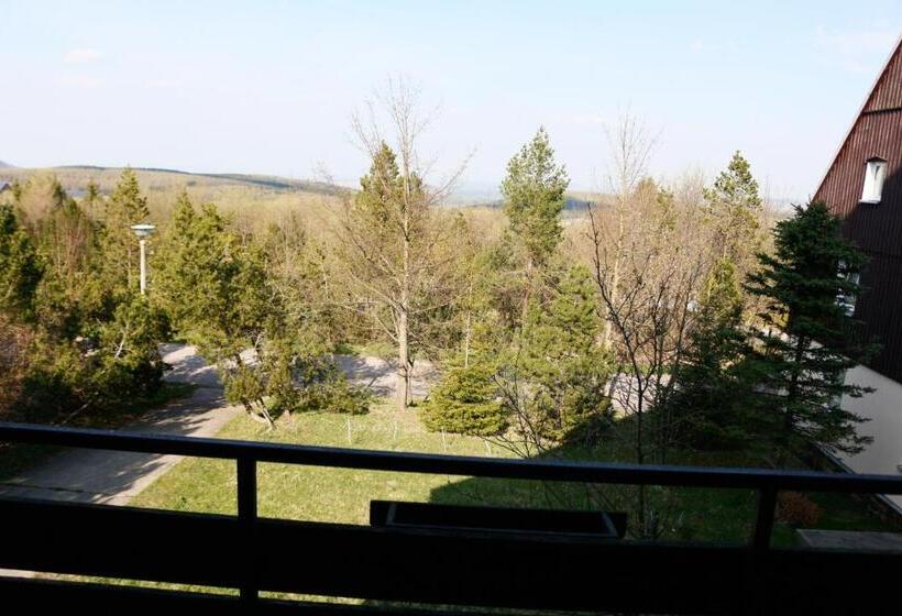 شقة غرفة واحدة, Lugsteinhof