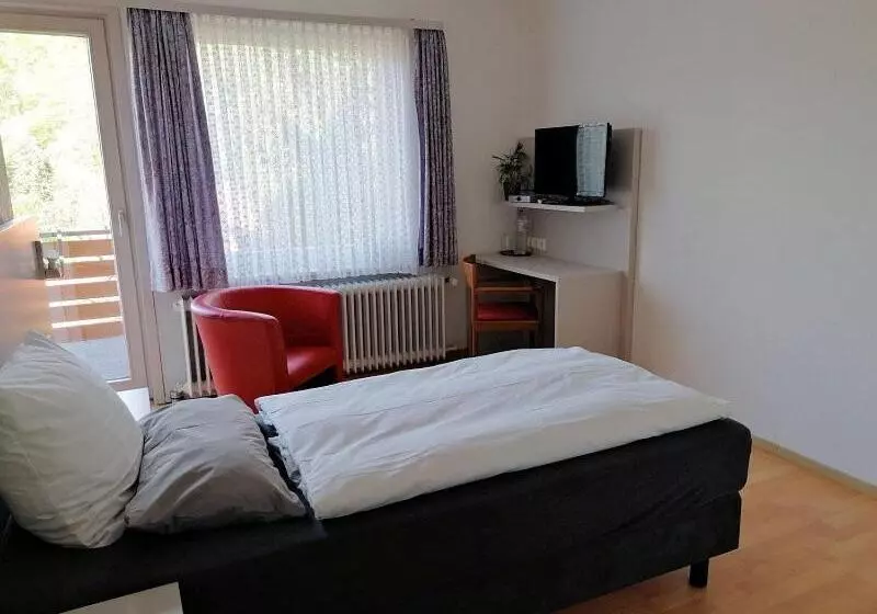 バルコニー付きシングルスタンダードルーム, Pension Waldhaus