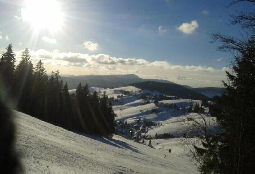 标准间, Sternen   Anno 1769