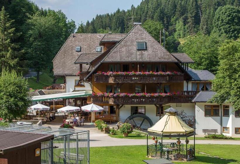 标准单人间, Tannenmühle