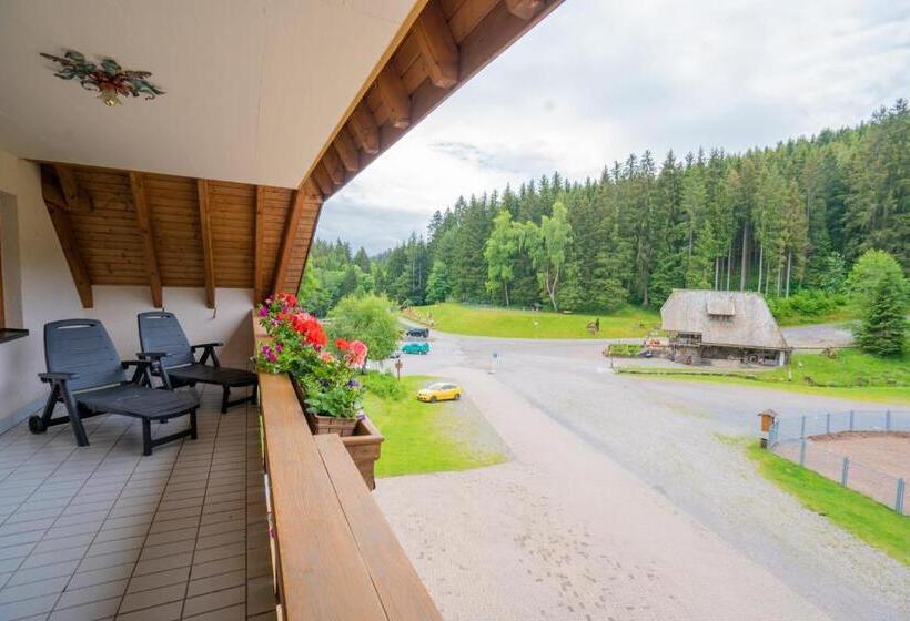 带1个卧室的带阳台的公寓, Tannenmühle