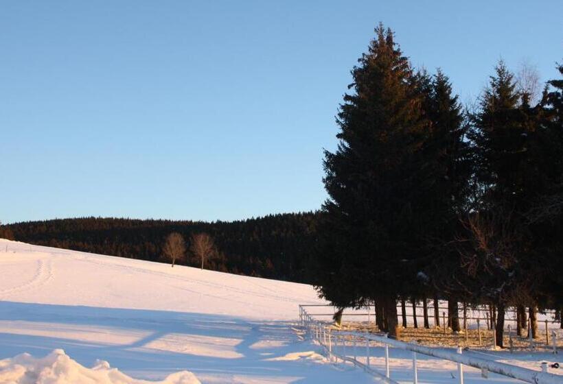 带1个卧室的公寓, Landhotel Bartlehof