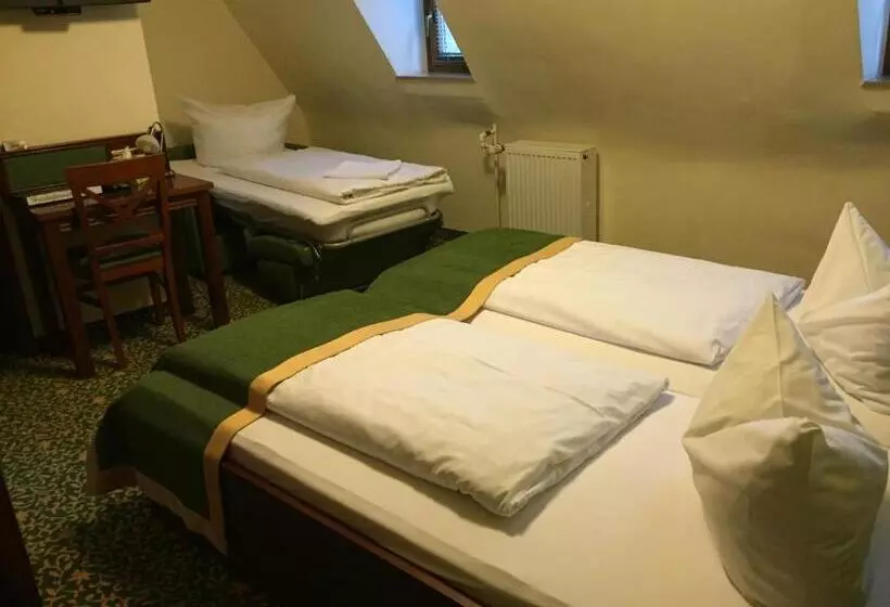 اتاق استاندارد, Parkhotel Zirndorf