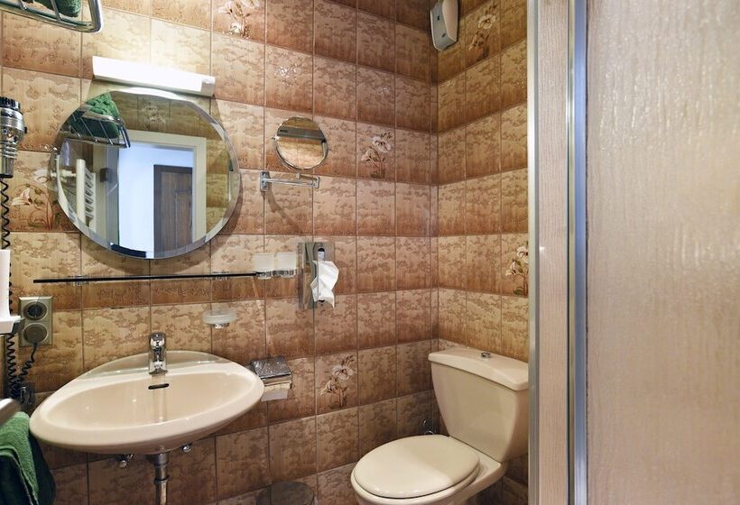 标准单人间, Gasthof & Hotel Goldener Hirsch