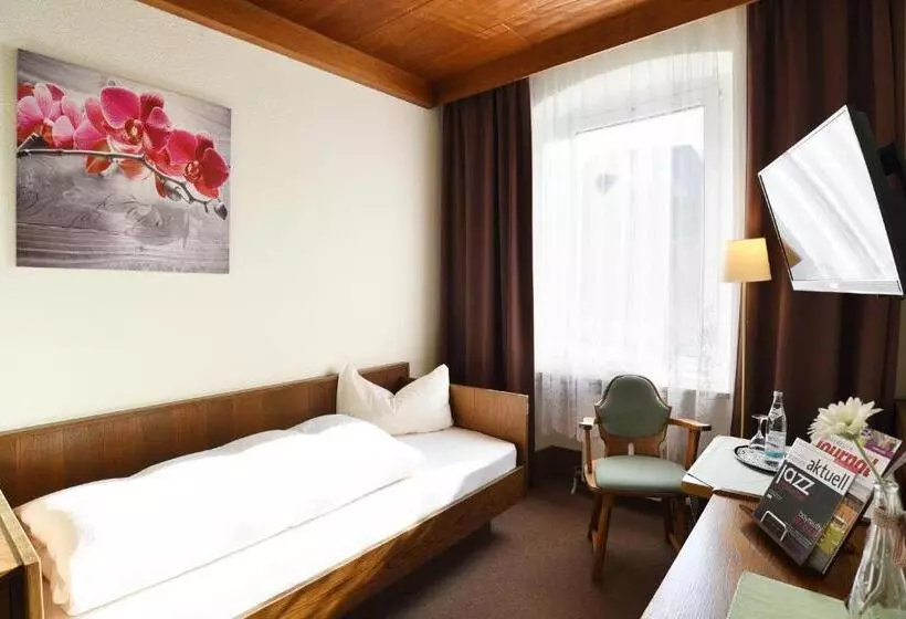 اتاق استاندارد یک نفره, Gasthof & Hotel Goldener Hirsch