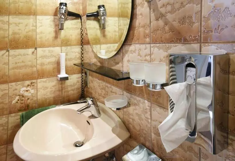 اتاق استاندارد یک نفره, Gasthof & Hotel Goldener Hirsch