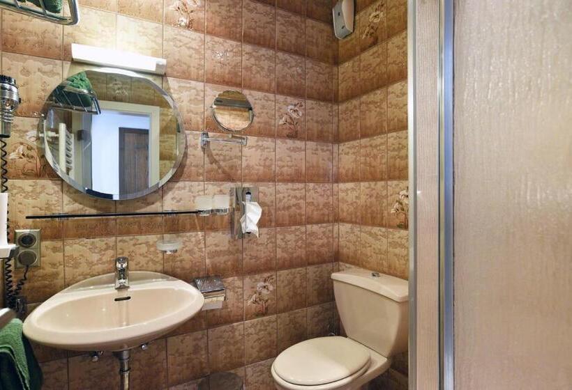 标准单人间, Gasthof & Hotel Goldener Hirsch