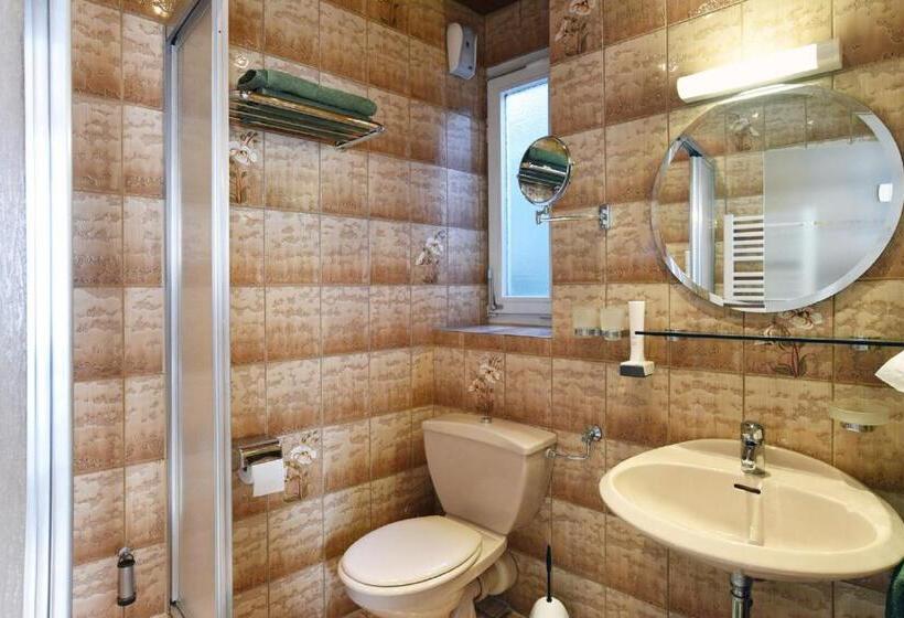 标准间, Gasthof & Hotel Goldener Hirsch