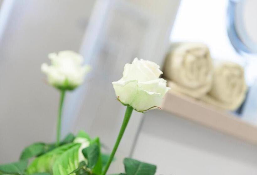 标准间, Villa Rosa