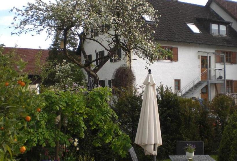 标准单人间, Villa Rosa