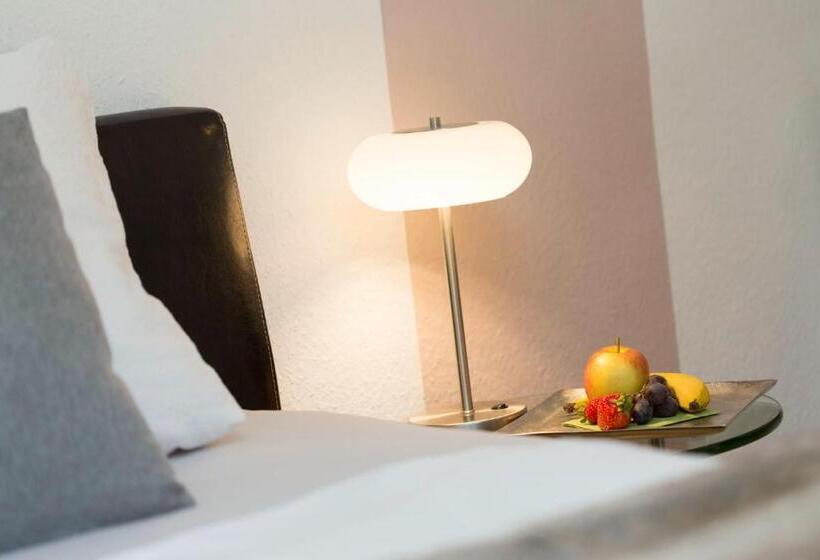 标准单人间, Villa Rosa