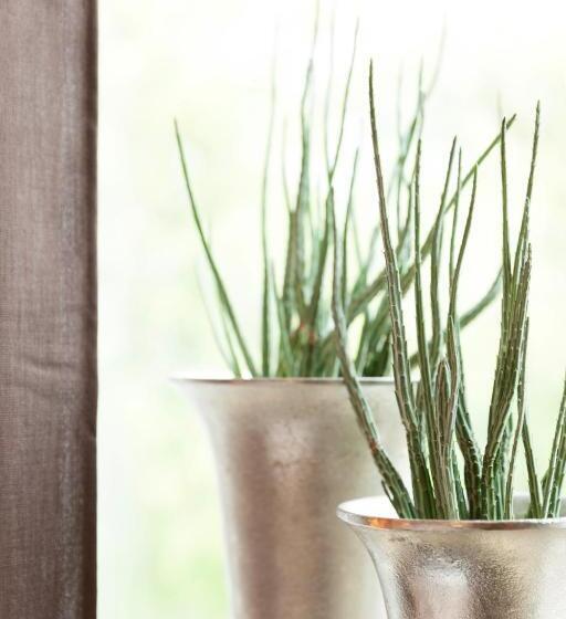 标准间, Villa Rosa